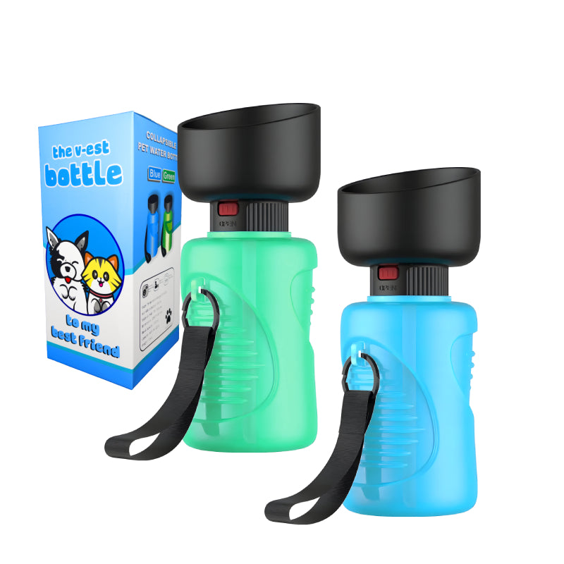 Pet water bottle