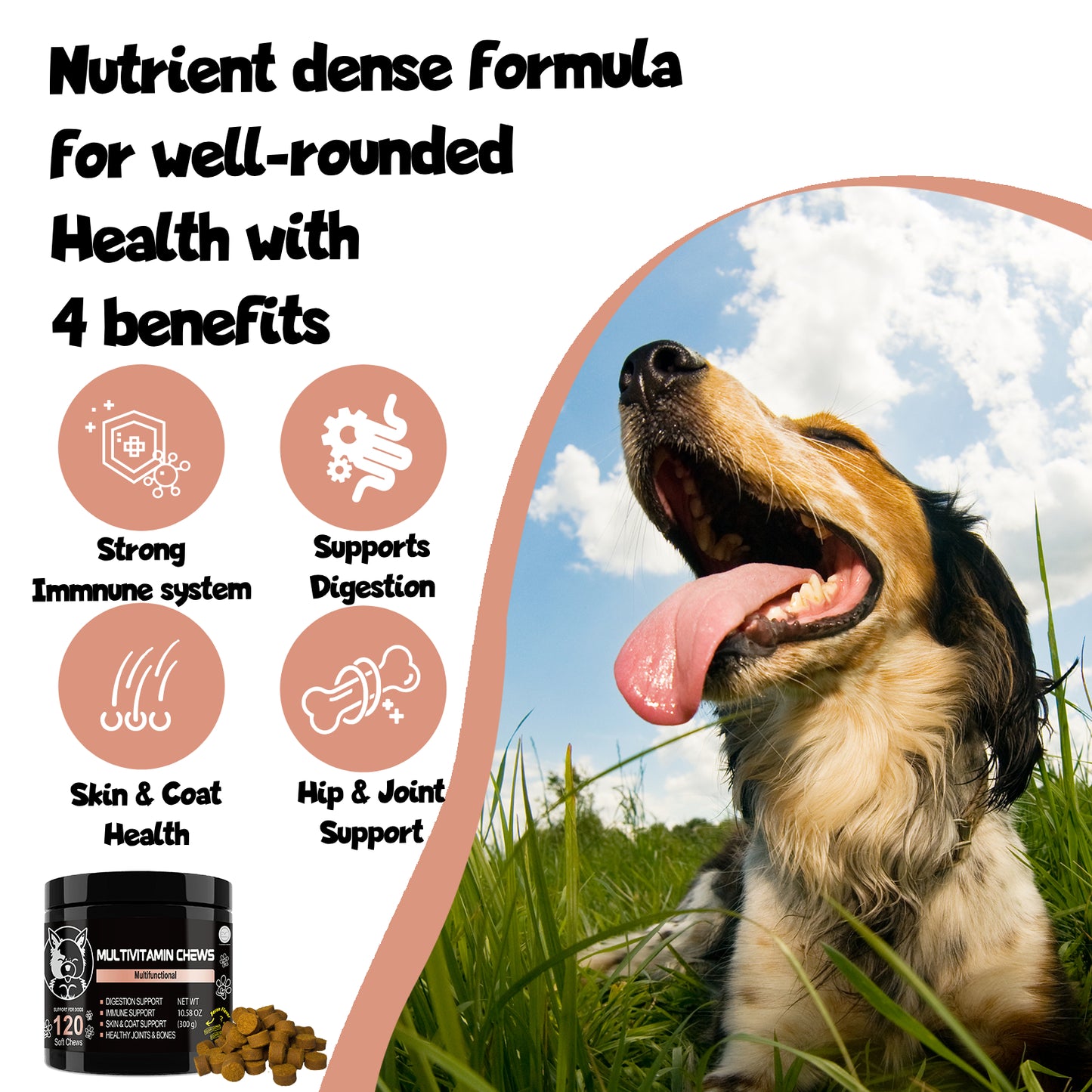 Shopypaws Pets - Dog Supplements & Vitamins -Dog Zinc Supplement - Pets Vitamins Supplements - Dog Vitamin B12 - Dog Multivitamin - Organic Dog Vitamins - Probiotic - Puppy Vitamins - Vitamin for Dogs