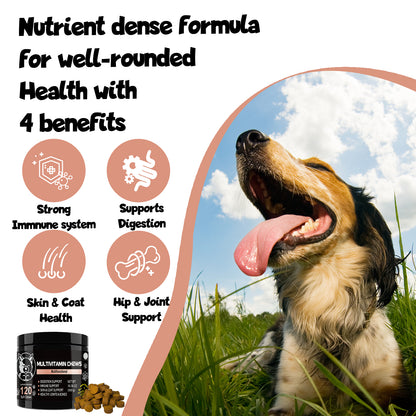 Shopypaws Pets - Dog Supplements & Vitamins -Dog Zinc Supplement - Pets Vitamins Supplements - Dog Vitamin B12 - Dog Multivitamin - Organic Dog Vitamins - Probiotic - Puppy Vitamins - Vitamin for Dogs