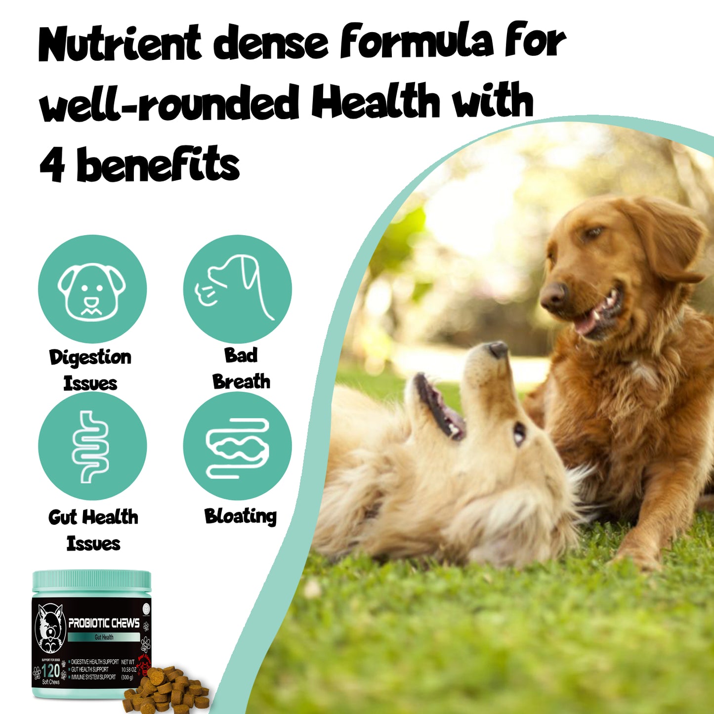 Shopypaws Probiotics for dogs - Probiotic chews for dogs - gut health for dogs - probiotico para perro - digestive enzymes for dogs - dog probiotics - dog health supplies - dog gut health