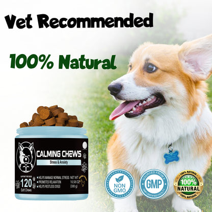 Shopypaws Calming Chews for Dogs - Melatonin for Dogs - Safe Food Supplements - Dog Anxiety Relief -Hemp Calming Chews for Dogs - Separation Anxiety Relief for Dogs - Pets Travel Calm - Dog Calm