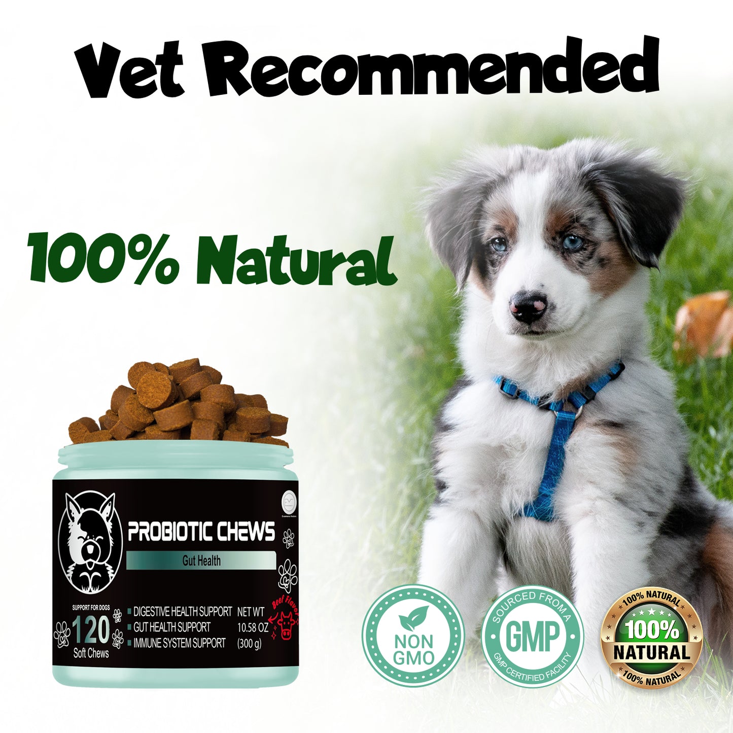 Shopypaws Probiotics for dogs - Probiotic chews for dogs - gut health for dogs - probiotico para perro - digestive enzymes for dogs - dog probiotics - dog health supplies - dog gut health